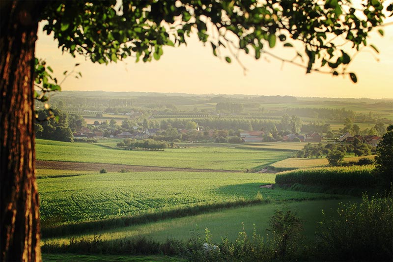 Regionaal Landschap Haspengouw & Voeren