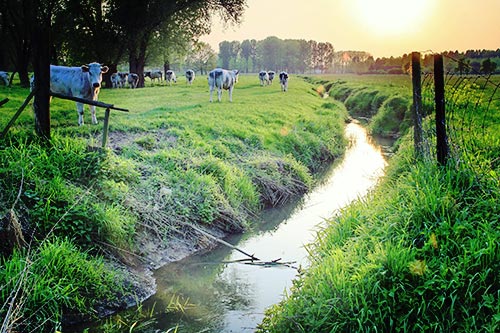 Regionaal Landschap Haspengouw & Voeren