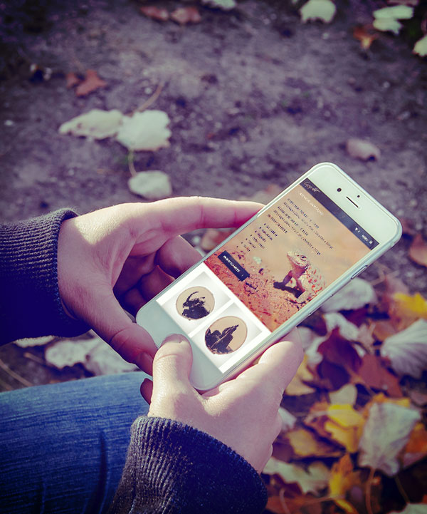 CopyArt - mobielvriendelijke website