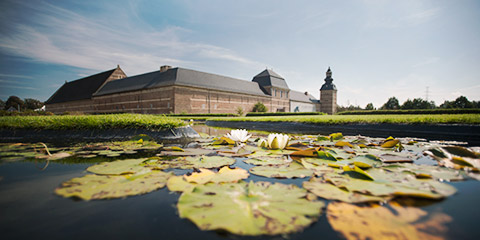 De Wijers