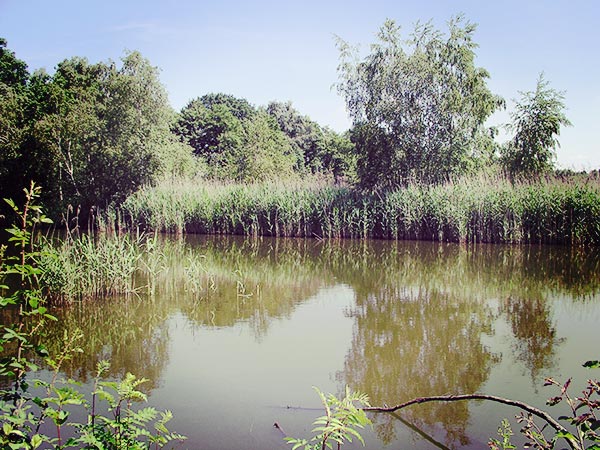 RLLK spotterskaarten