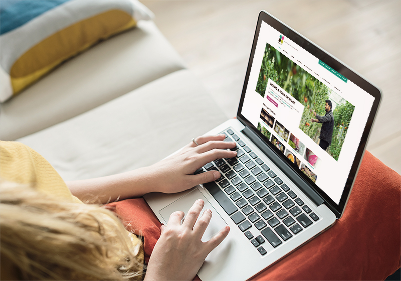 Website De Wijers